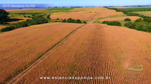 1015 HA no RS MARINETI.00_02_38_11.Quadro023_85f072e54808dff090df68bd14af6d1750bd24ca.png